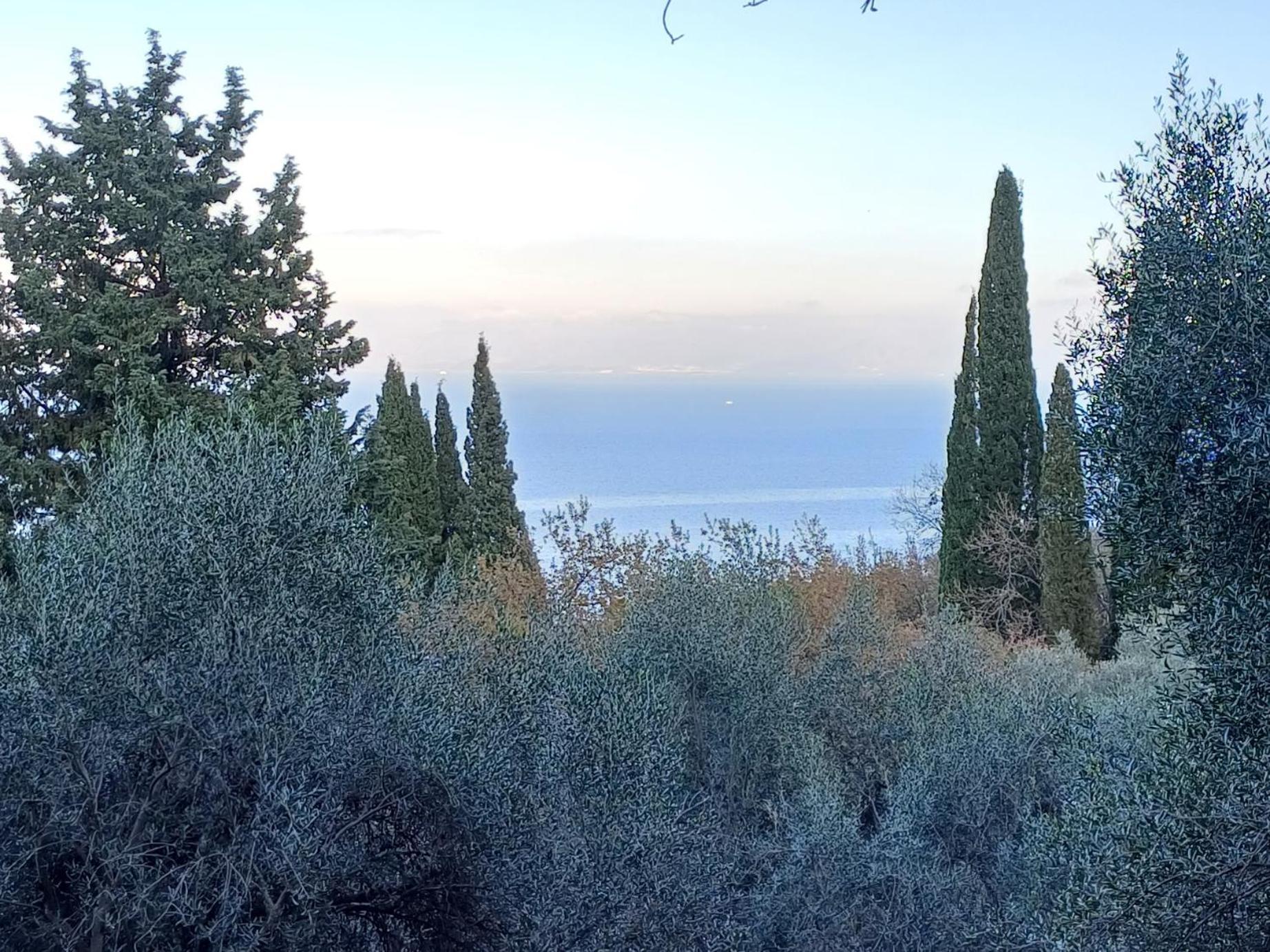 Flora Studios Corfu - Adults Only Бенитсес Экстерьер фото