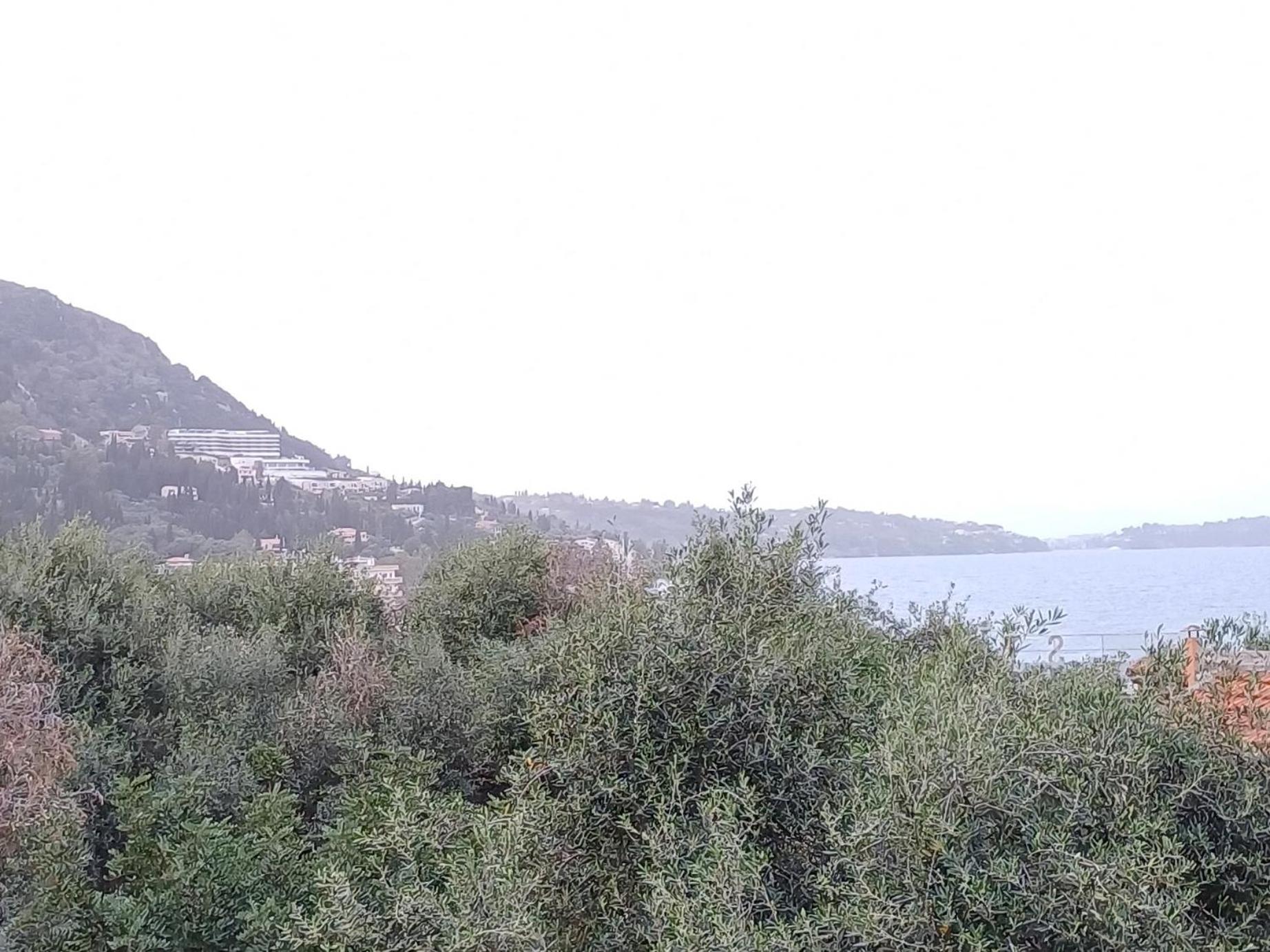 Flora Studios Corfu - Adults Only Бенитсес Номер фото
